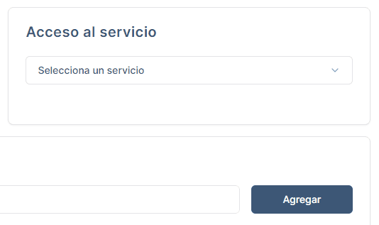 Animación de acceso al servicio
